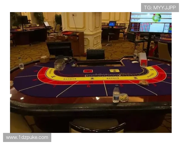 PA百家乐：揭开百家乐游戏的神秘面纱